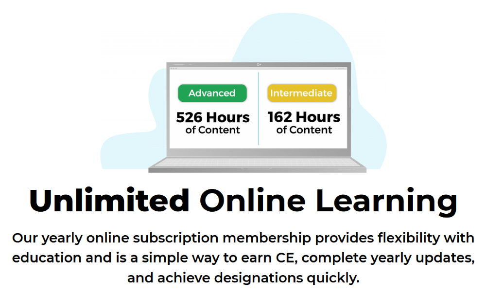 online education revenue