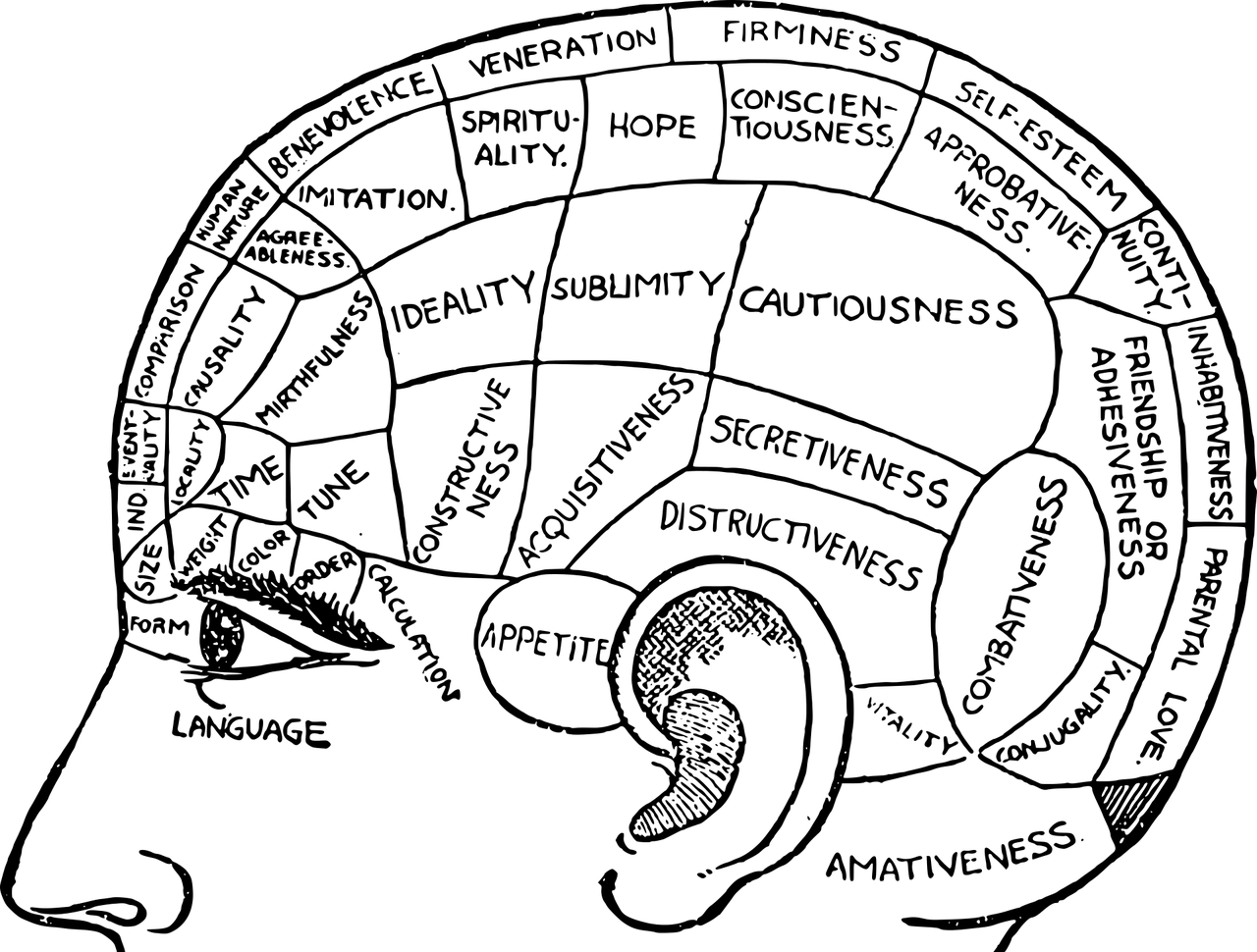 learning myths debunked